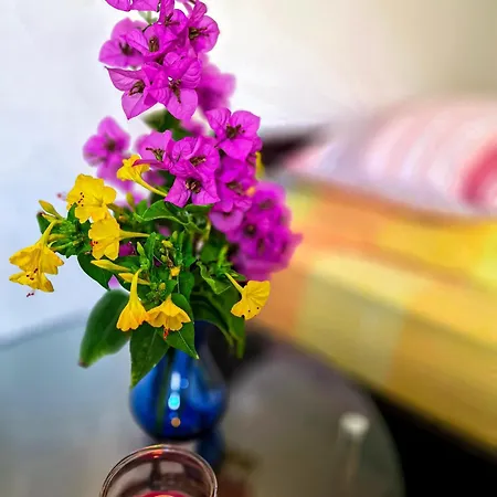 Διαμέρισμα Mani *